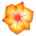 design50