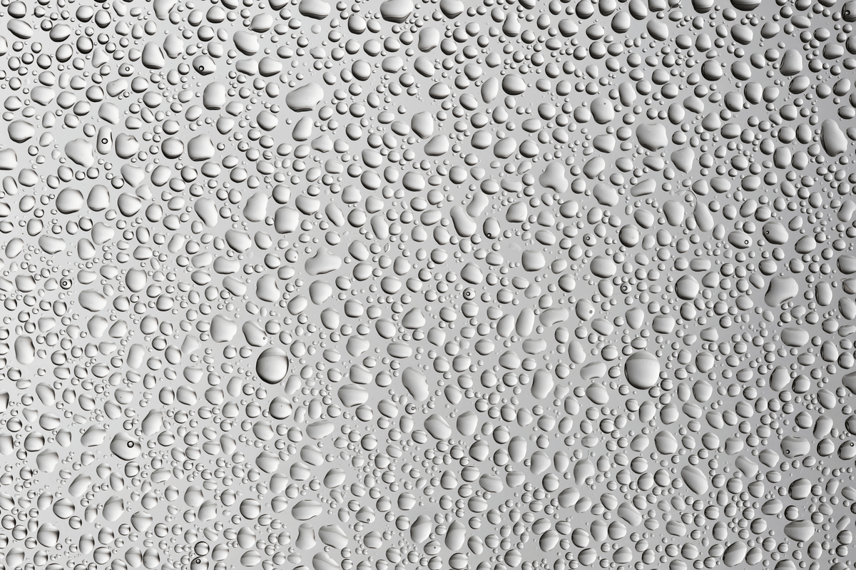 texture16