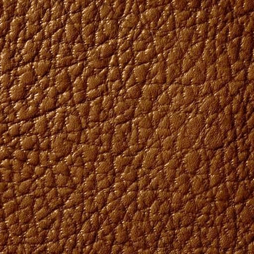 texture19